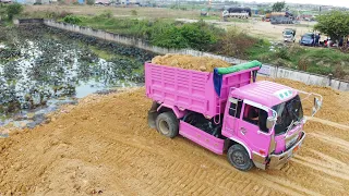 Ep04.UPDATE!! Landfill up Process Fill the soil Use Dozer D31P KOMATSU With Small Dump Truck 5T.