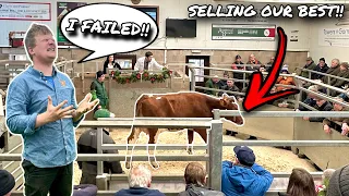 A MARKET NIGHTMARE... BAD DAY AT MARKET SELLING MY BEST COWS...