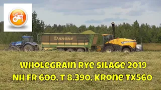 Silage 2019 | Wholegrain rye silage with New Holland FR 600 forager