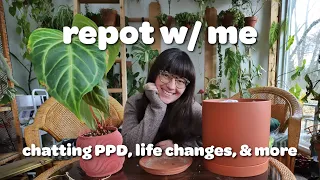 REPOT WITH ME... while we chat motherhood, identity, & self care