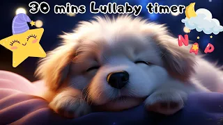 30 Minutes Timer| Lullaby for Kids to go to sleep|Classroom Timer with music #lullabyforbabies