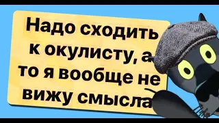 ✔️Надо сходить к окулисту, а то я вообще не вижу смысла.  Анекдоты с Волком.#ВГостяхУВолка