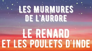 Les Murmures de l'Aurore - Le Renard et les Poulets d'Inde