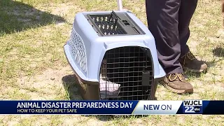 National Animal Disaster Preparedness Day; How to keep your pet safe during a disaster