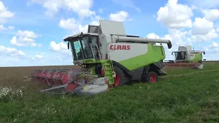 Комбайны Claas Lexion 760 и 580 дают старт уборочной компании 2020