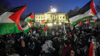 Pro-Palestine protesters attempt to tear down White House fence