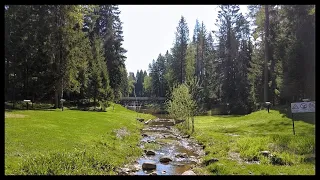 Real Russian Countryside - walking tour in summer 2023