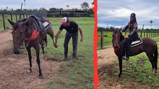 VEJA COMO ESTÁ A ÉGUA MADAME! Firme na doma