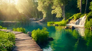 All your worries will disappear if you listen to this music🌿 Relaxing music calms the nerves