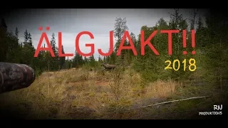 ÄLGJAKT!   [2018] ( moose hunt )