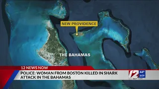 Police: American tourist killed in shark attack in Bahamas