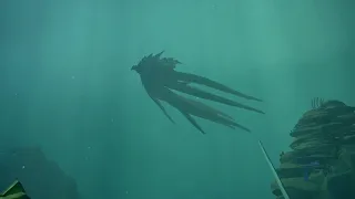 The most beautiful and terrifying thing in sea of thieves