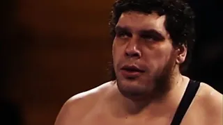 Hallzzz - Andre The Giant