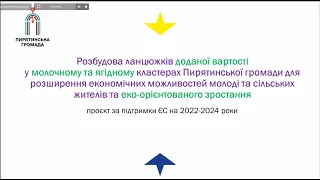 Перший вебінар із циклу «Два роки діяльності  шкільних коворкінгів у Пирятинській громаді»(09.05.24)