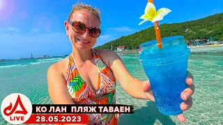 Чил на Ко Лане 🔴 Паттайя LIVE (Таиланд)