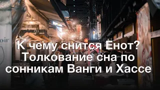 К чему снится Енот? Толкование сна по сонникам Ванги и Хассе