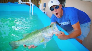 Fishing For PET Fish in My Mega Pond AQUARIUM!