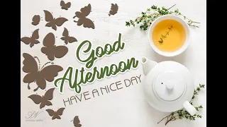 Good Afternoon Video Greetings Whatsapp Status