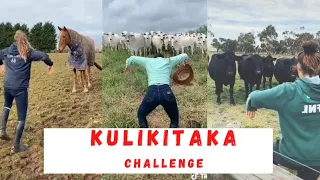 NOW THIS!: Kulikitaka Challenge - Animal Version Part 2 | Tik Tok Compilations April, 2020