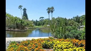 VISITE DÉCOUVERTE : JARDIN BOTANIQUE DE SYDNEY, AUSTRALIE