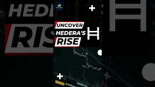 🚀Hedera (HBAR) Takes the Crypto World by Storm: What You Need to Know