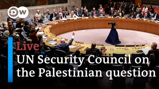 Live: UN Security Council holds session on the Middle East and the "Palestinian question" | DW News