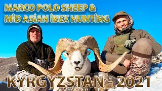 Marco Polo and Mid Asian Ibex hunt - Caça no Quirguistão 2021