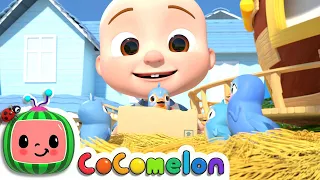 Itsy Bitsy Spider (Birdie Edition) | CoComelon Nursery Rhymes & Kids Songs