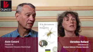 A la découverte des Araignées - Araignées de nos régions, sachez les reconnaître