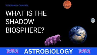 THE SHADOW BIOSPHERE: A NEW FRONTIER IN THE SEARCH OF LIFE