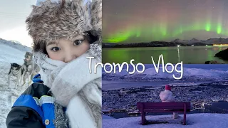 Tromso Vlog | Welcome to the wonderland 🇳🇴 Norway in winter: whales, northern light & dog sledding 🤩