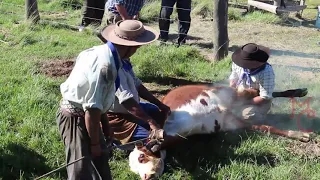 Museo del Campo y la Vida Rural Correntina - La Yerra