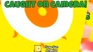 Hatching FIRST HUGE Sun Angelus ON CAMERA In Pet Simulator X!