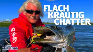 RICHTIG ALARM mit KLEINEN CHATTERBAITS - Unser Ziel ist Fisch - Angelschule mit JÖRG OVENS