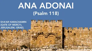 “Ana Adonai” (Psalm 118) by Jim & Amy White and Shuvah Yisrael Worship (March 14, 2024)