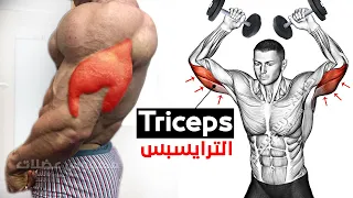 15 Easy Exercises triceps | Long head - Lateral Head - Medial Head