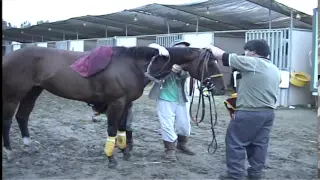 Juan Garcia Entrenador de caballos at Delmar Racing