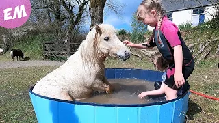 Pony Crashes the Pool Party!