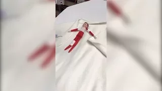 Hospital ER Staff Puts ‘Elf on a Shelf’ Back Together After Dog Attack