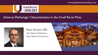 Adverse Pathologic Characteristics in the Small Renal Mass