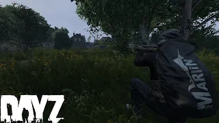 Построились рядом с базой большого клана и украли у них всё - DayZ