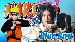 Blue Bird / Ikimono Gakari 【Naruto Shippuden OP3】cover by Amelia