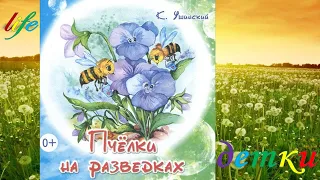 Ушинский "Пчелки на разведках" аудиокнига (с картинками)