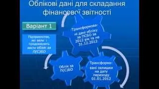 Особливості фінансової звітності за МСФЗ за 2012 рік