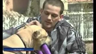 Буковинский пес-паркурист станет героем фильмов