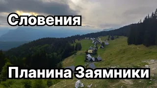 Водников разгледник (Vodnikov razglednik) | Планина Заямники (Planina Zajamniki) | Словения