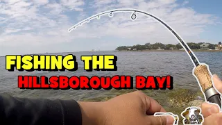 Fishing the HILLSBOROUGH BAY...!!! (Multi-Species Assessment)