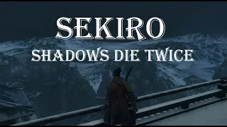 Sekiro: Shadows Die Twice - Мнение, впечатление и мой топ 10 боссов