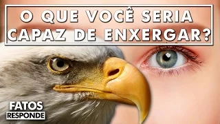 Como seria se os humanos tivessem olhos de águia?