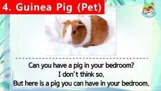 80 Animals | Unit 4 - Pet | Guinea pig